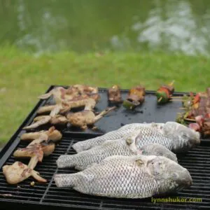 Grilled fish 2